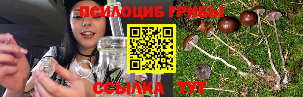 Галлюциногенные грибы мицелий Вятские Поляны